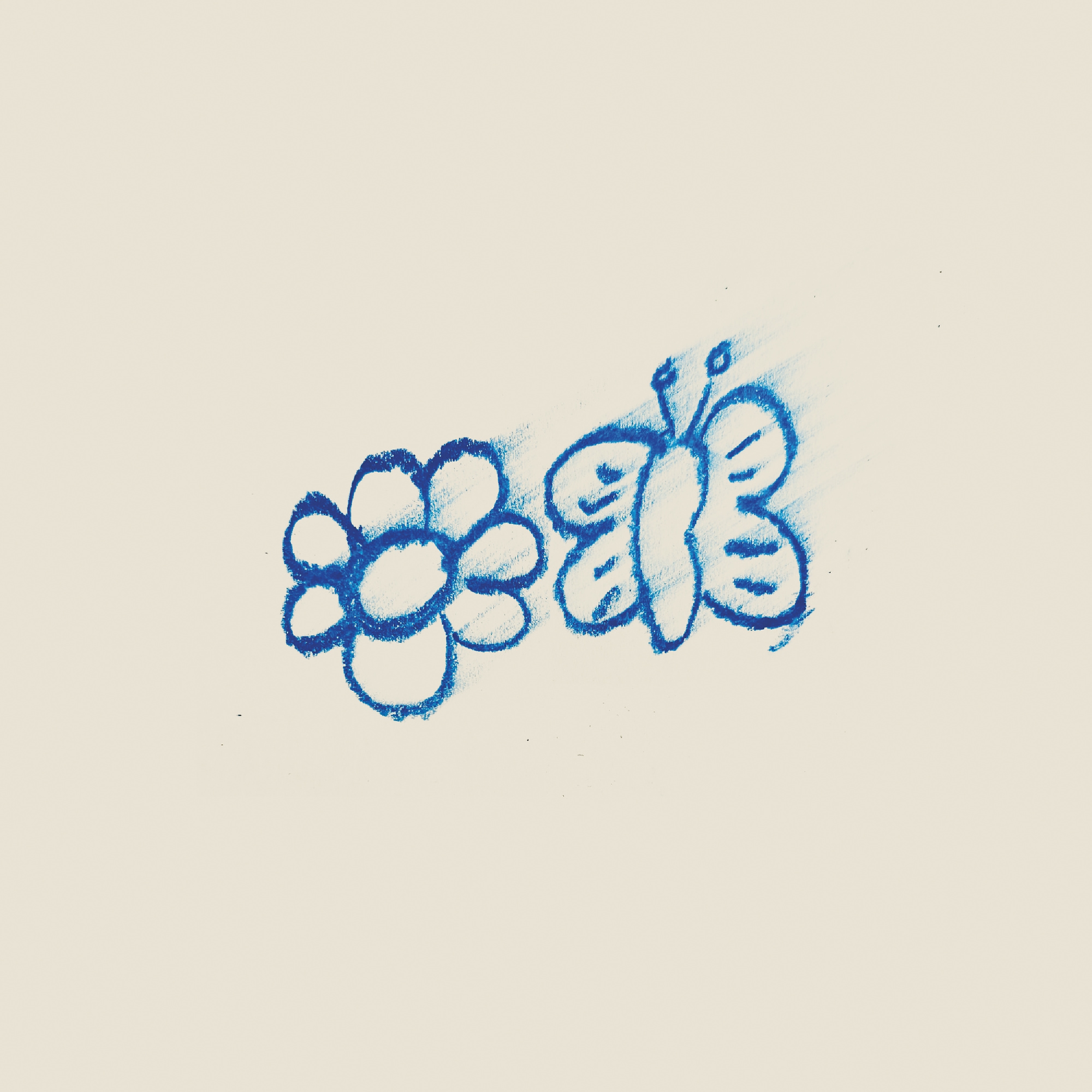 Une fleur et des papillons