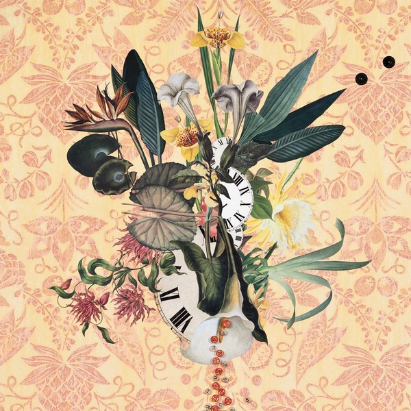 Wildflowers Volume 3