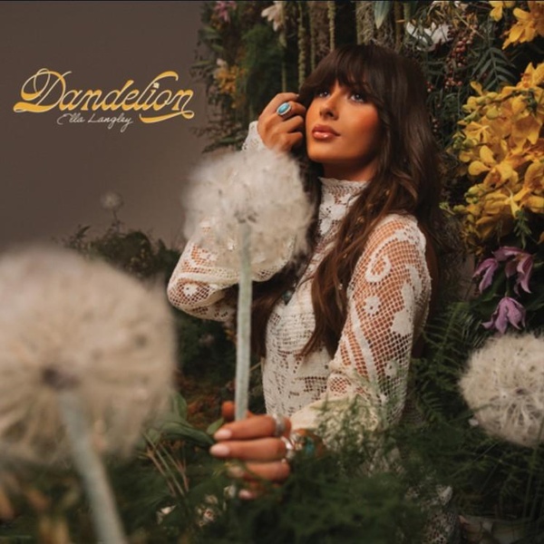 Dandelion