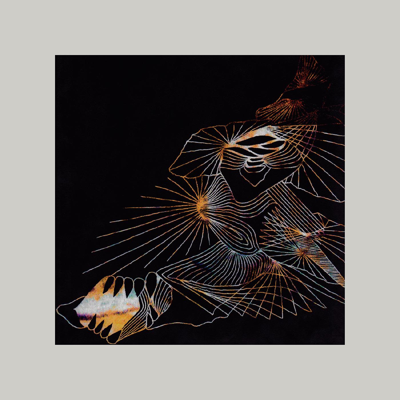DECOMPOSING FORCE/INCLUS LIEN DE TELECHARGEMENT