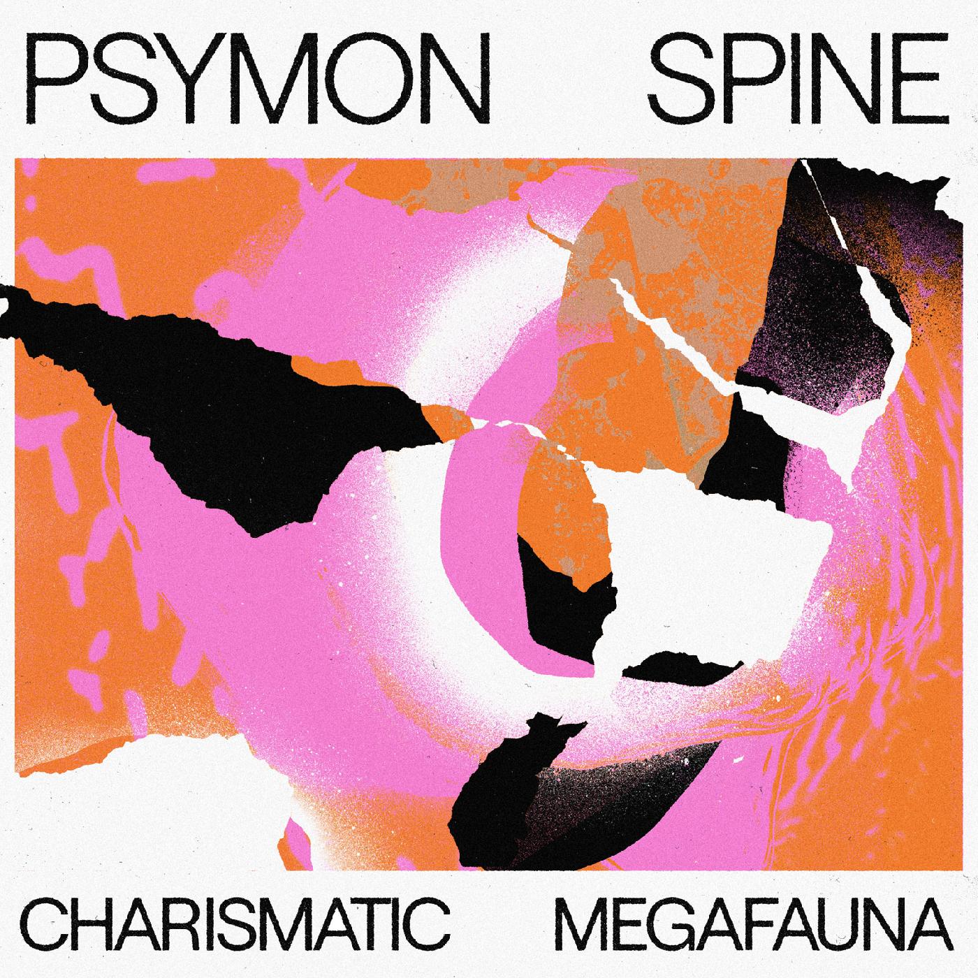 CHARISMATIC MEGAFAUNA