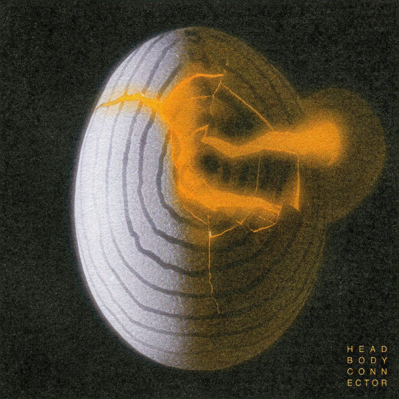 HEAD BODY CONNECTOR/VINYLE NOIR