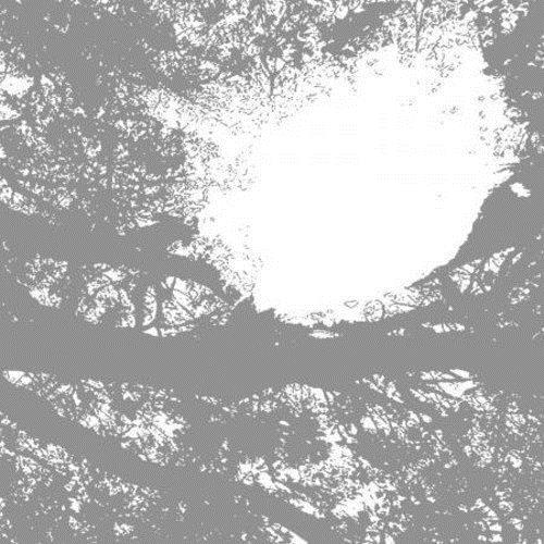 Field Recordings From the Sun