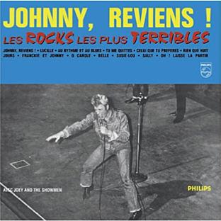 Johnny, reviens ! Les Rocks les plus terribles