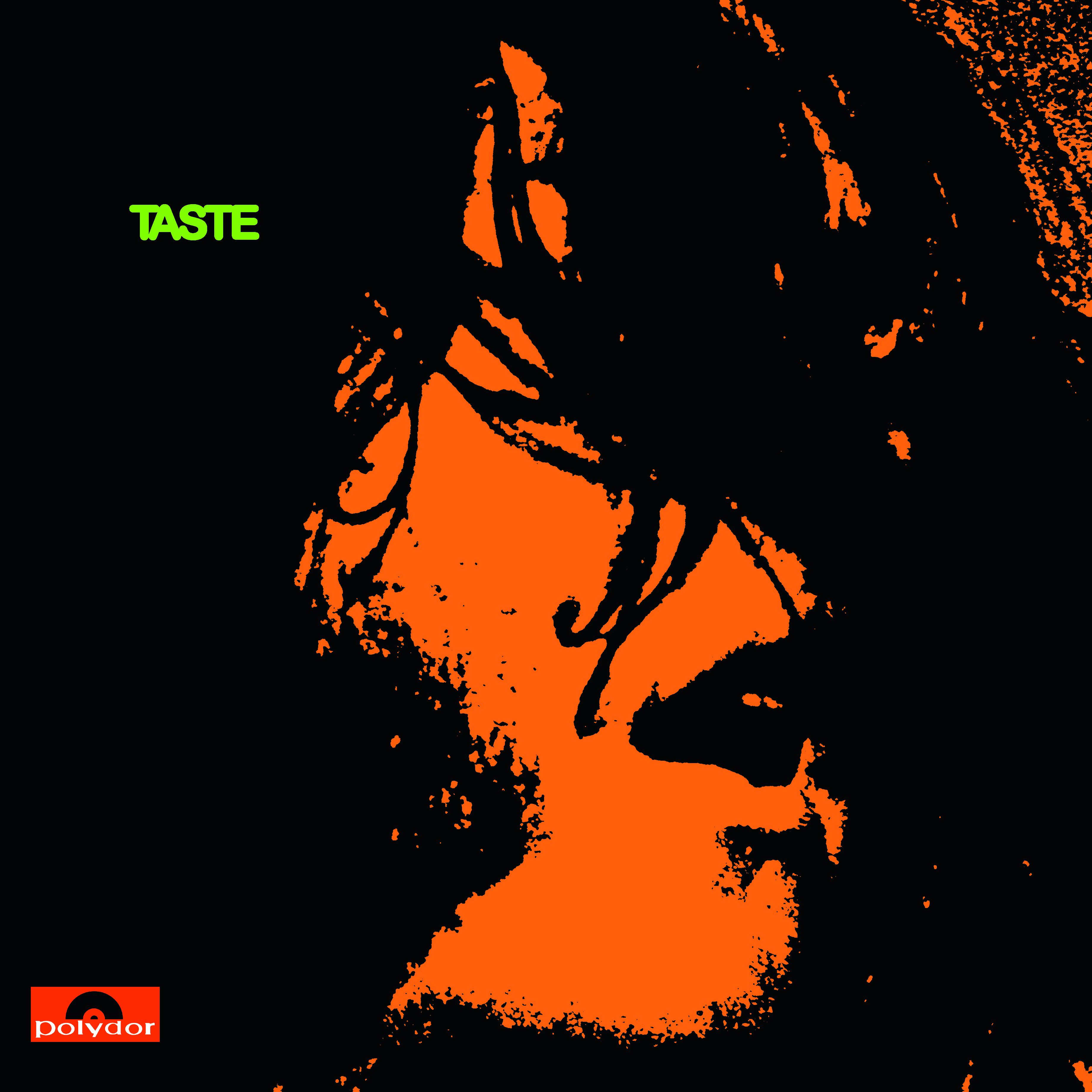 TASTE/VINYLE NOIR AUDIOPHILE 180GR