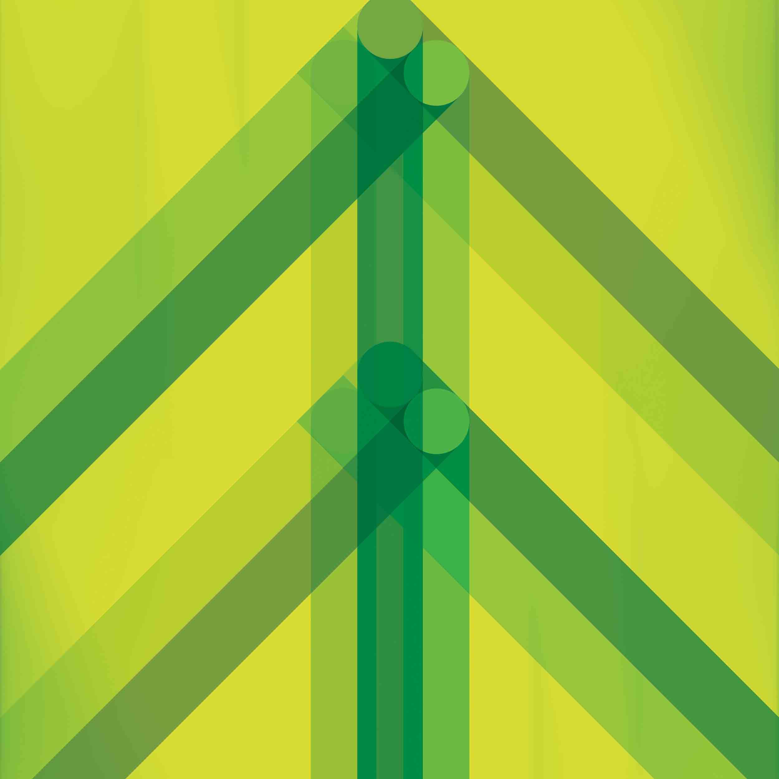 Every Direction Is North - Vinyle Vert