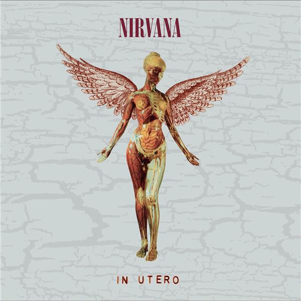 In Utero 30th Anniversary Édition Deluxe Limitée Coffret