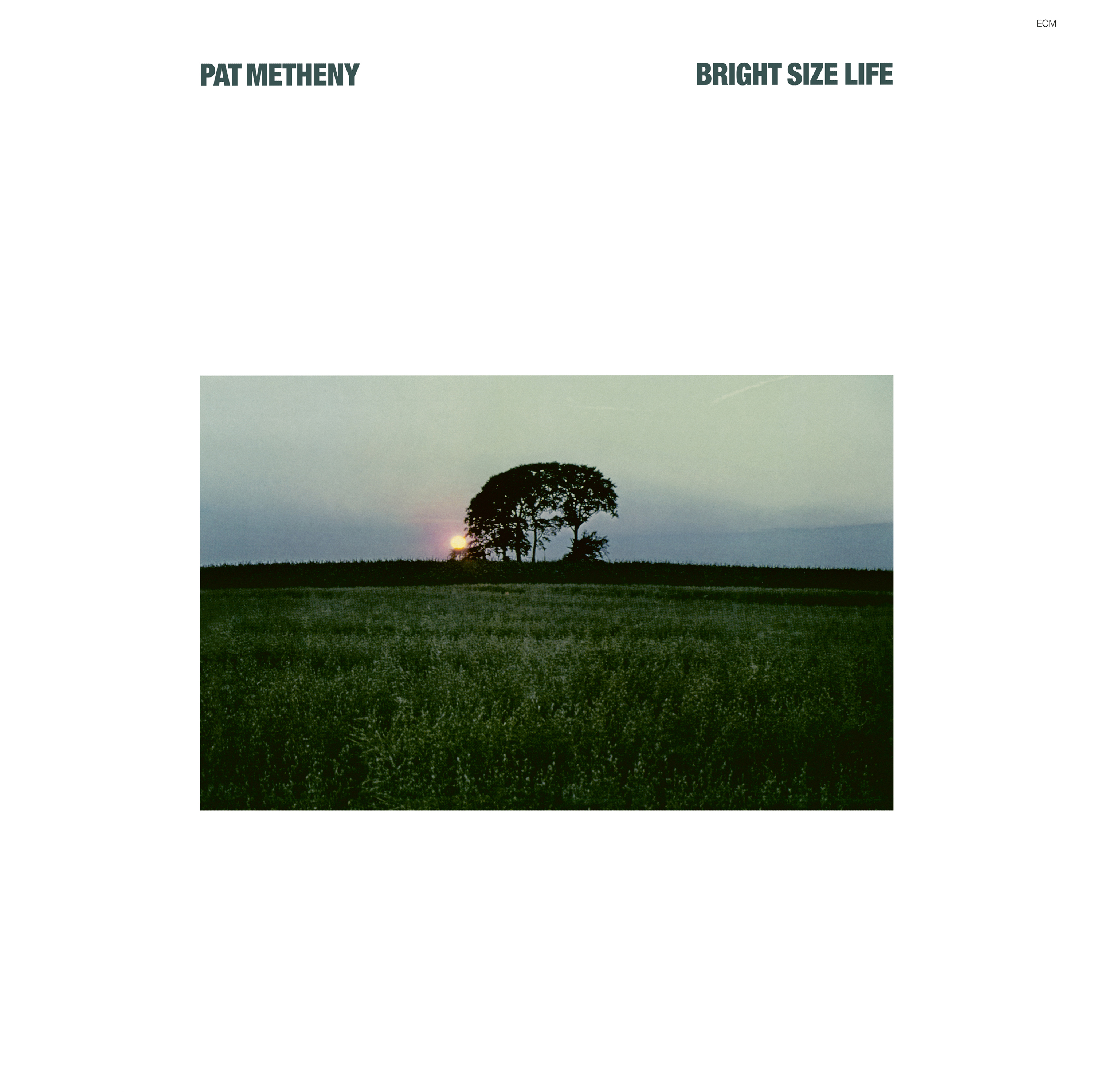 Bright Size Life