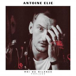 Roi Du Silence