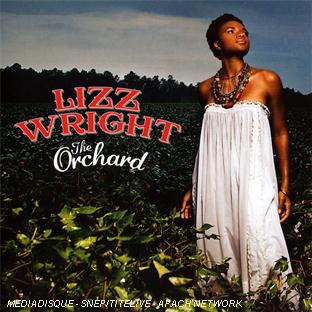 The Orchard