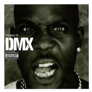 The best of DMX