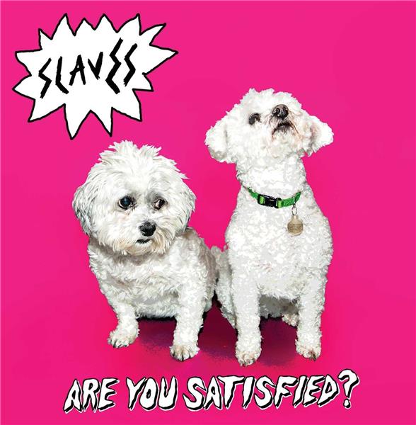 Are you satisfied ?