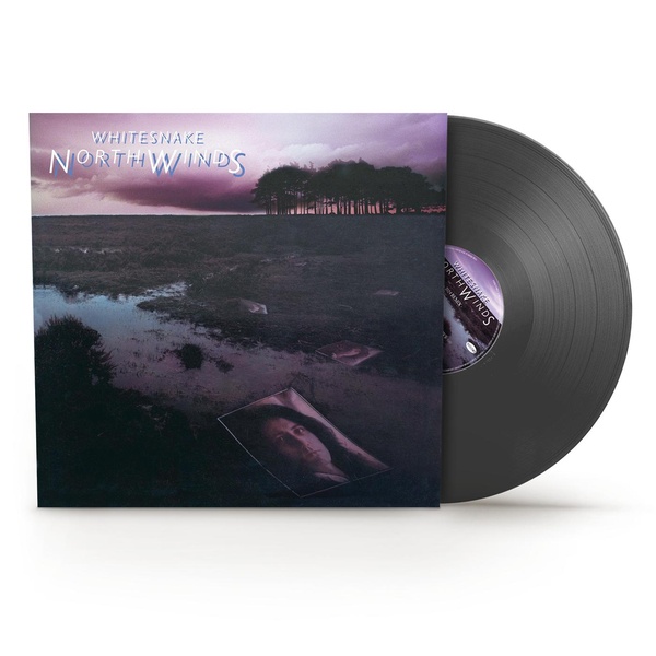 Northwinds (2024 Remix)