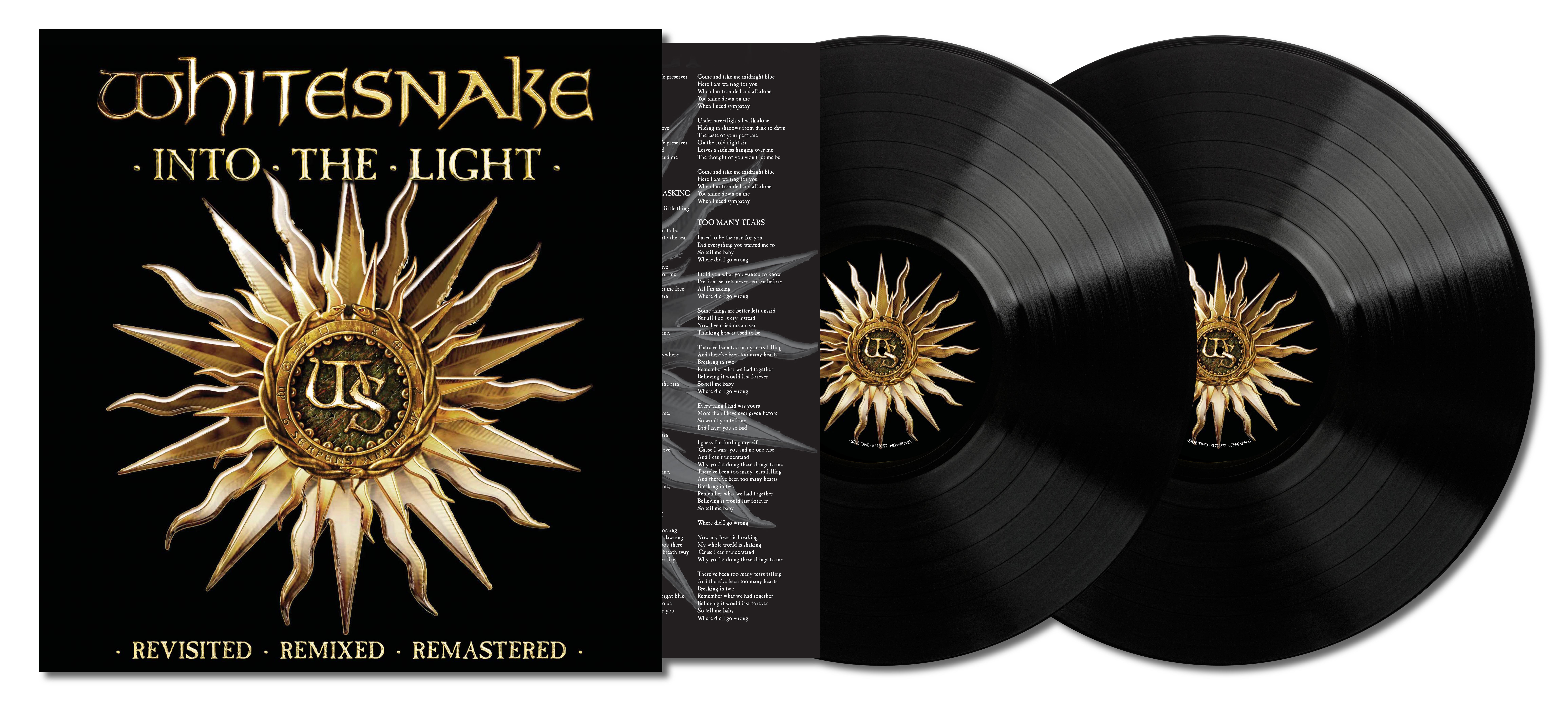 INTO THE LIGHT (REVISITED - REMIXED - REMASTERED) (2LP NOIR)