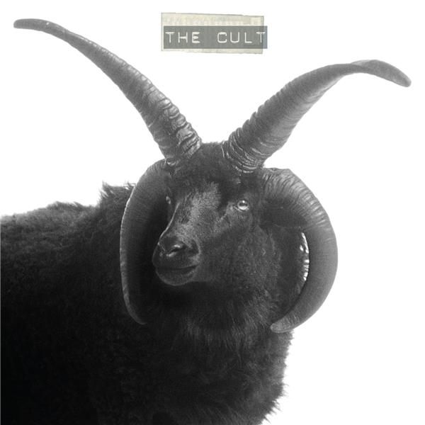 THE CULT