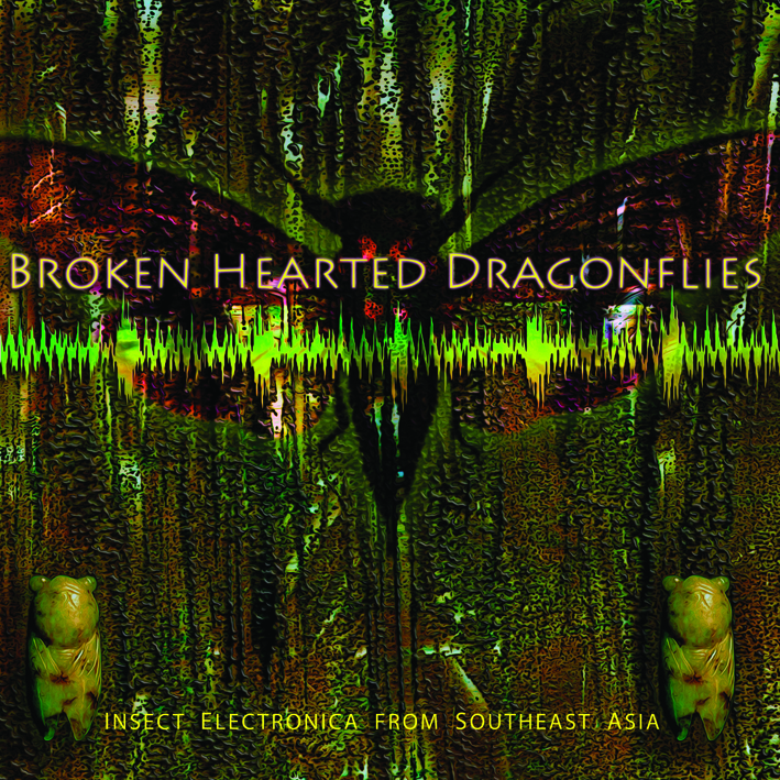 Brokenhearted Dragonflies : Insect Electronica from Southeast Asia