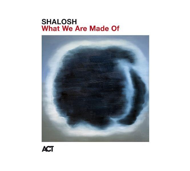 What We Are Made Of
