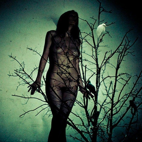 Atlas Moth An Ache for the Distance CD album