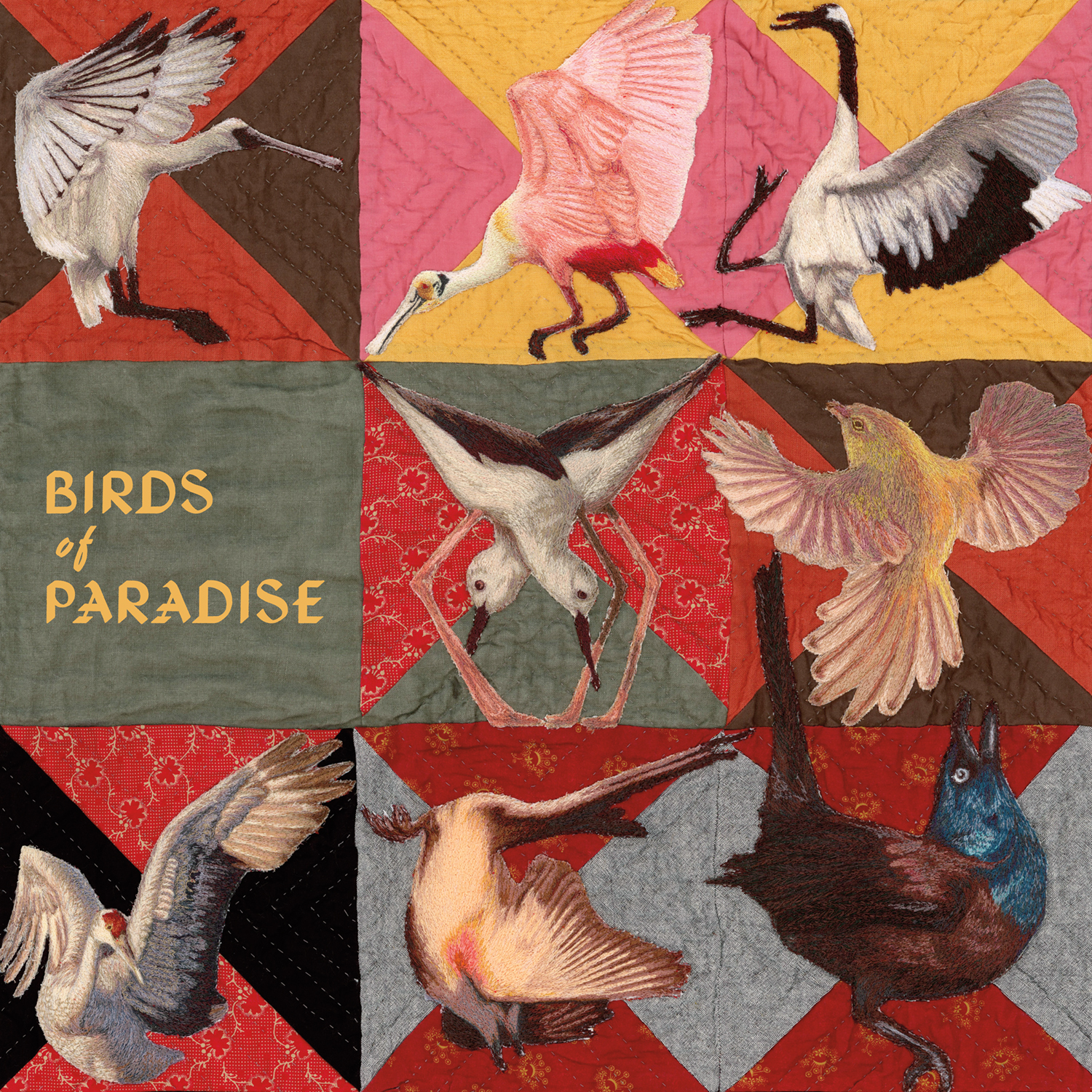 Birds Of Paradise - Vinyle Rose
