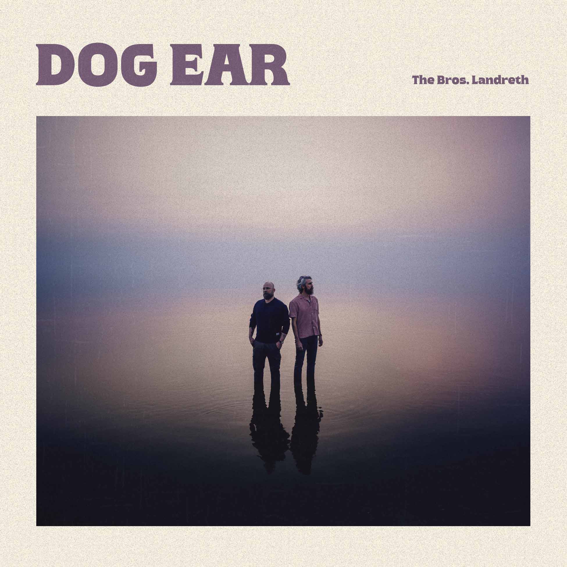 Dog Ear - Vinyle Ocre