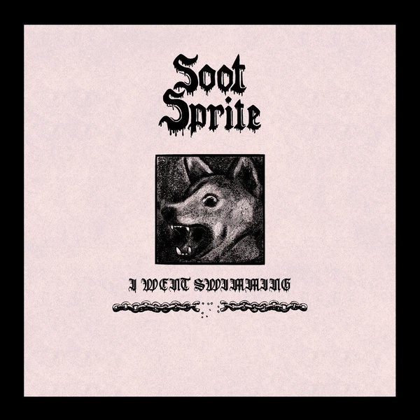 I Went Swimming / Home Among Your Bones