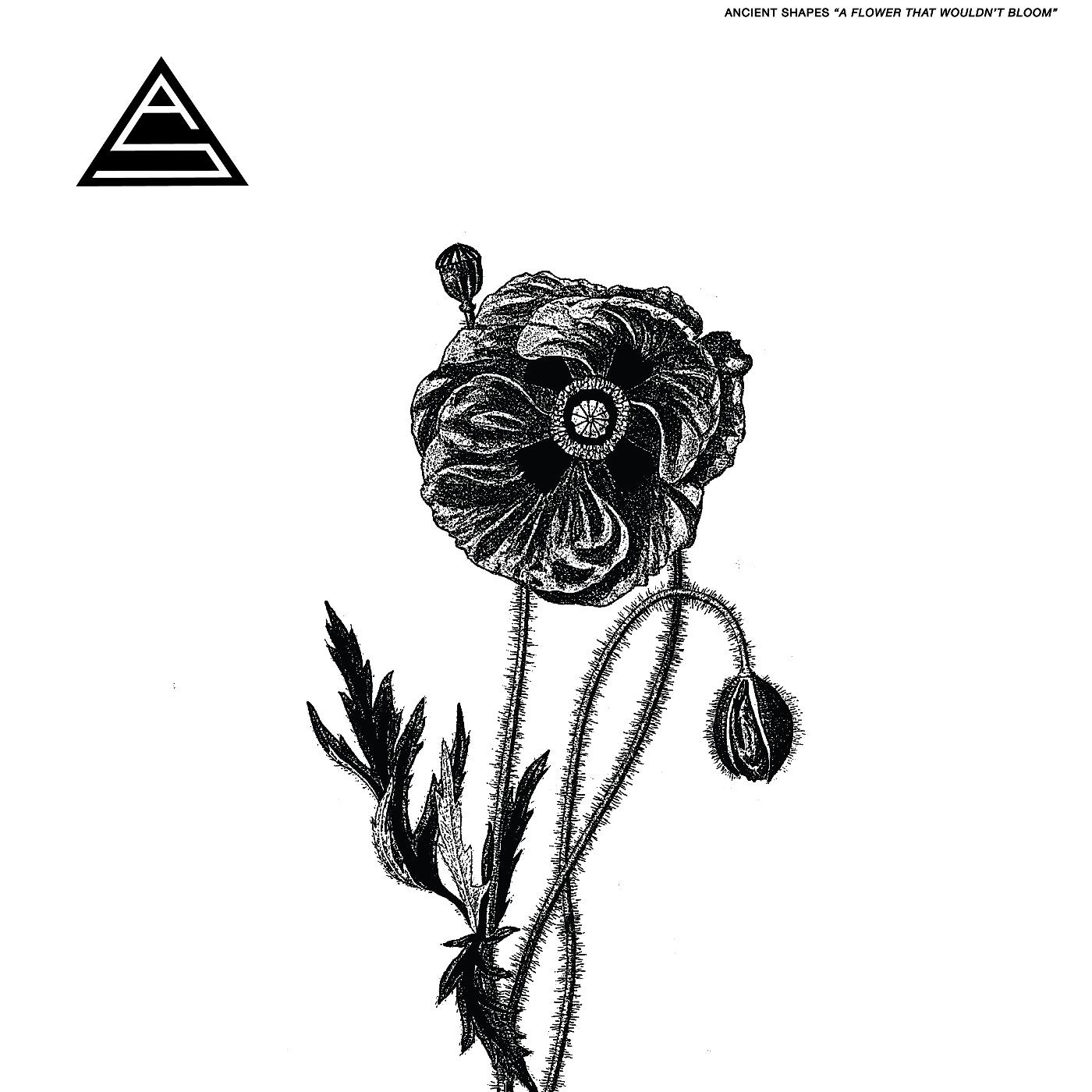 FLOWER THAT WOULDN T BLOOM
