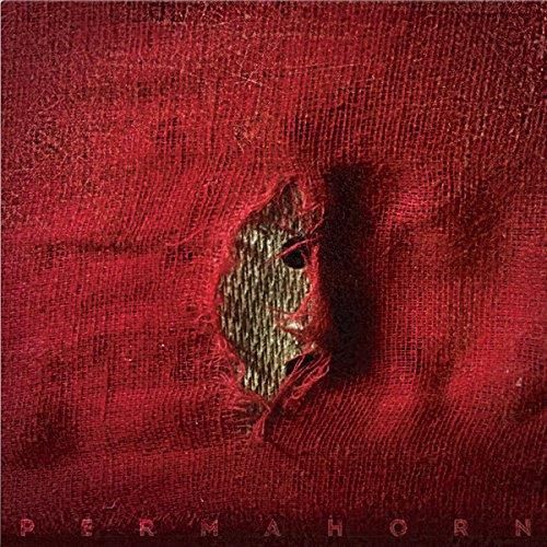 My Blood Carries My Dreams Away/Red LP