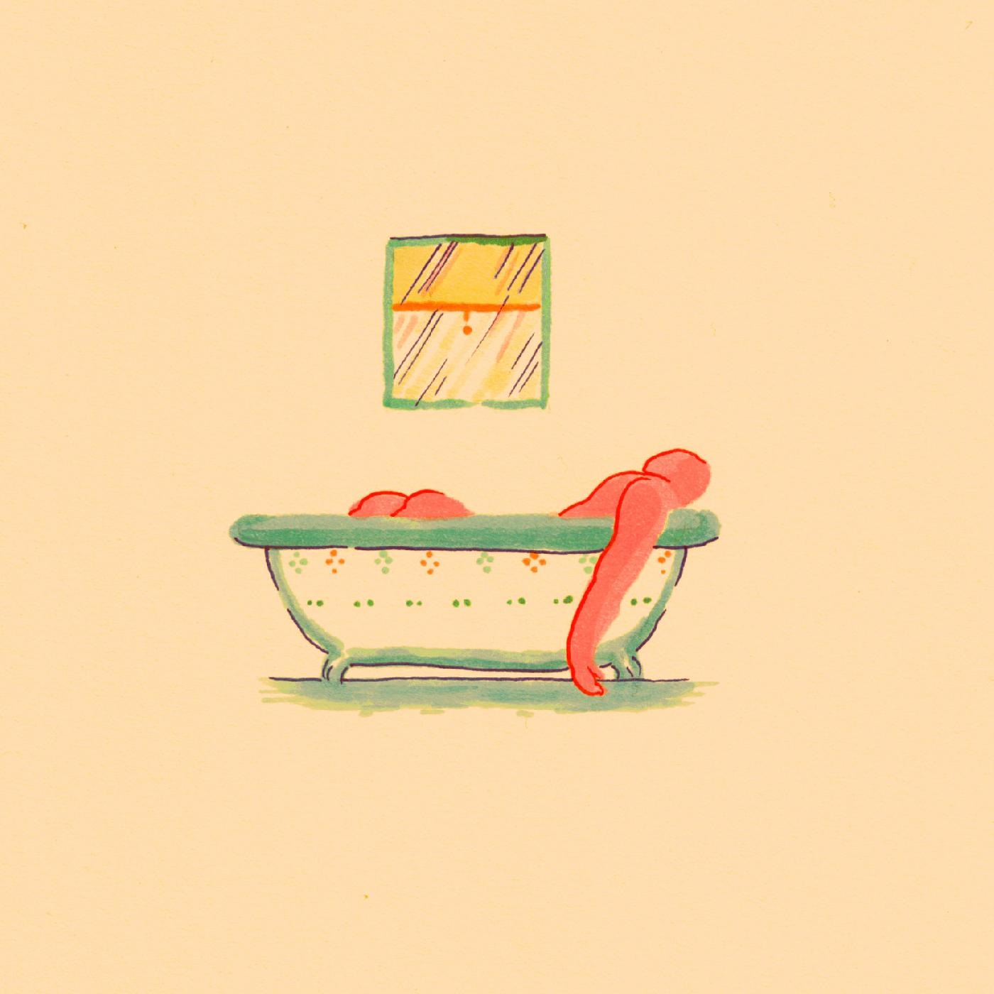 A HAIRSHIRT OF PURPOSE/VINYLE COULEUR