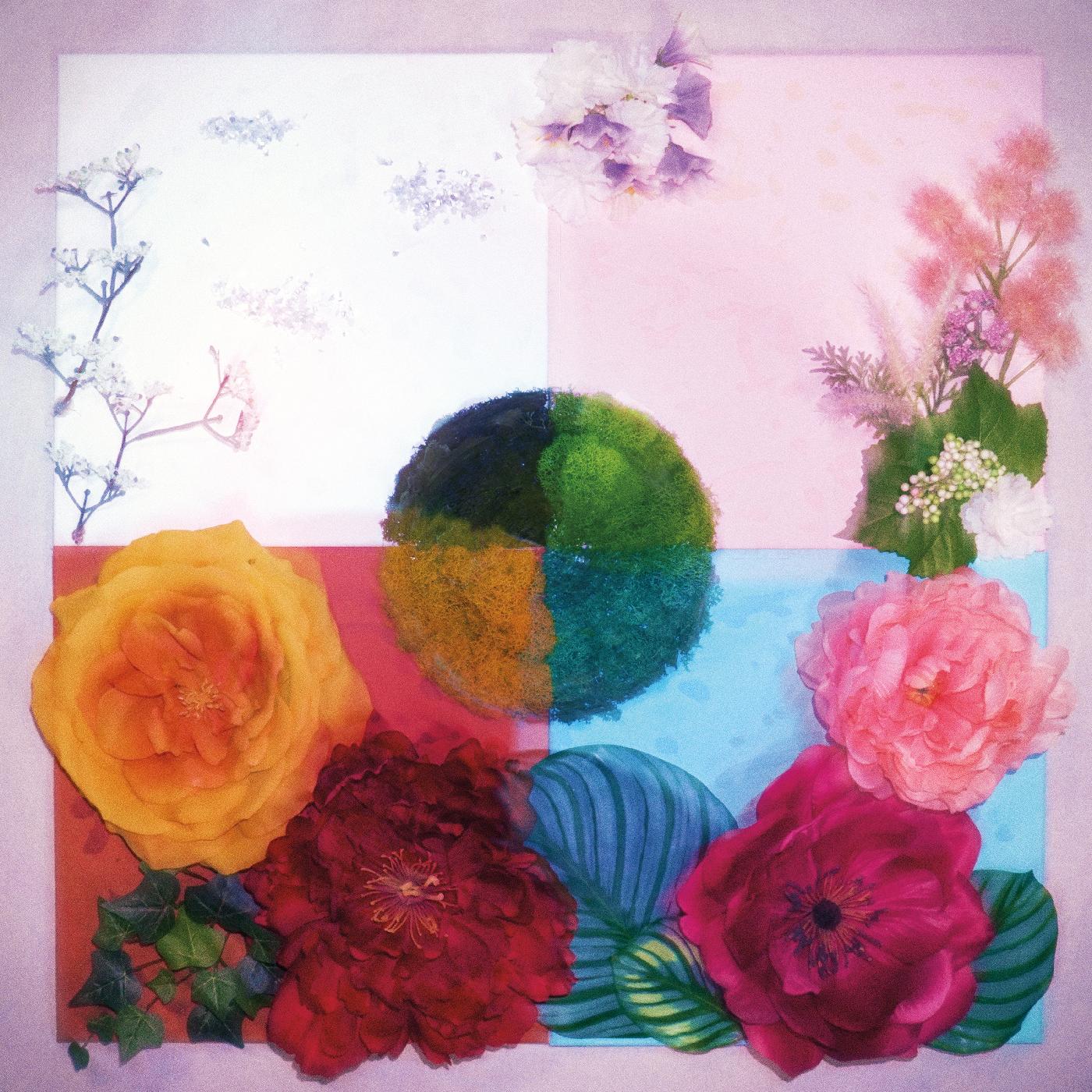 P O C/PROOF OF CONCEPT/VINYLE ROSE ET BORDEAUX LIMITED