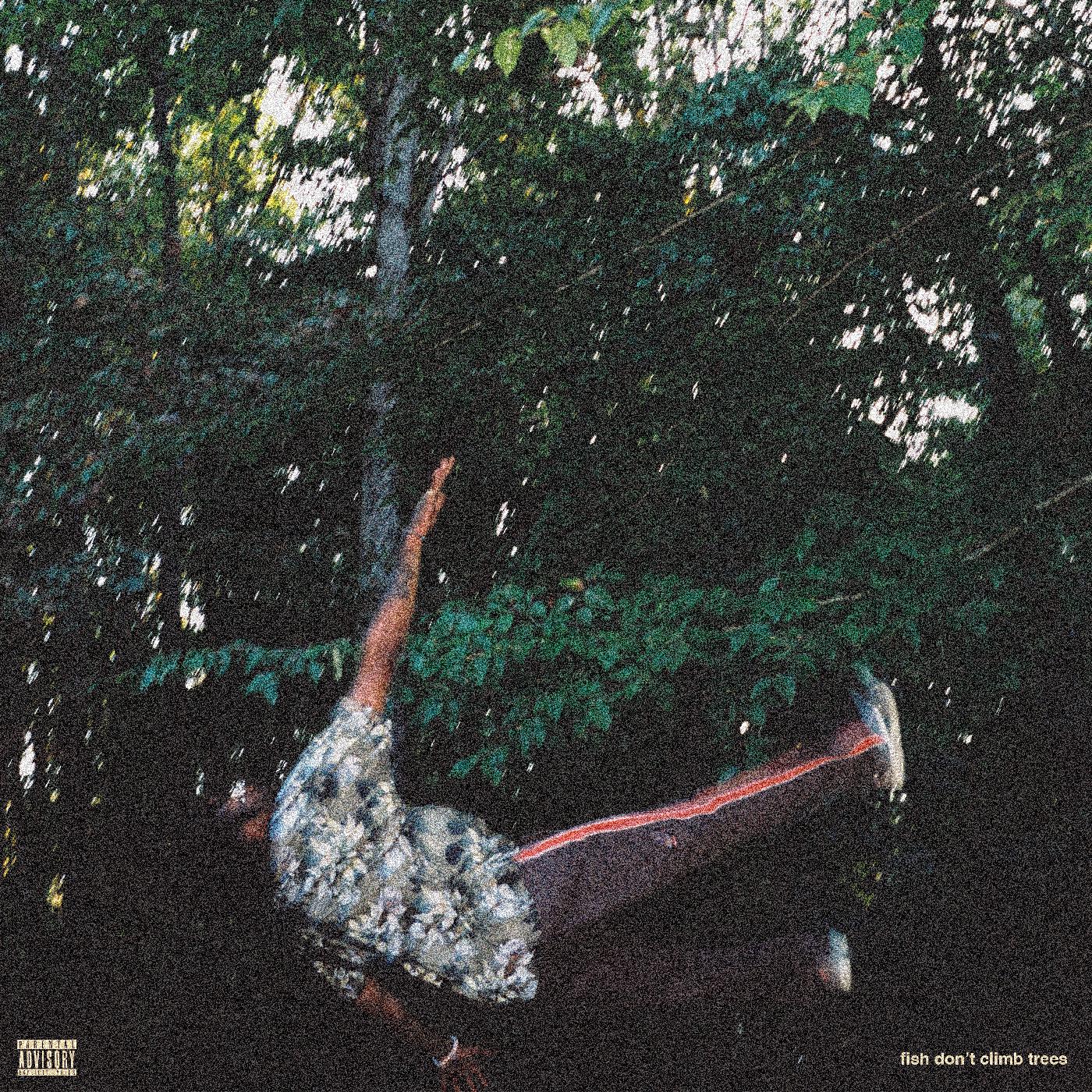 FISH DON'T CLIMB TREES