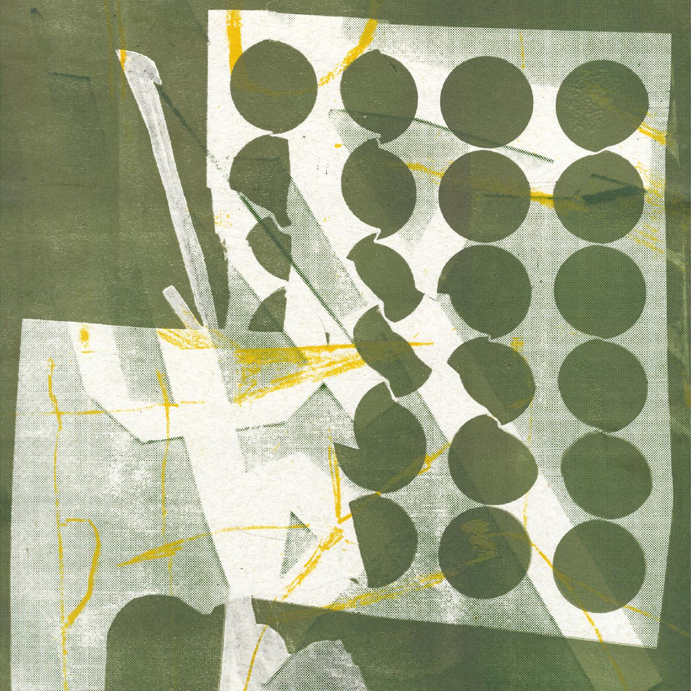 TO HAVE SEVERAL LIVES/VINYLE VERT