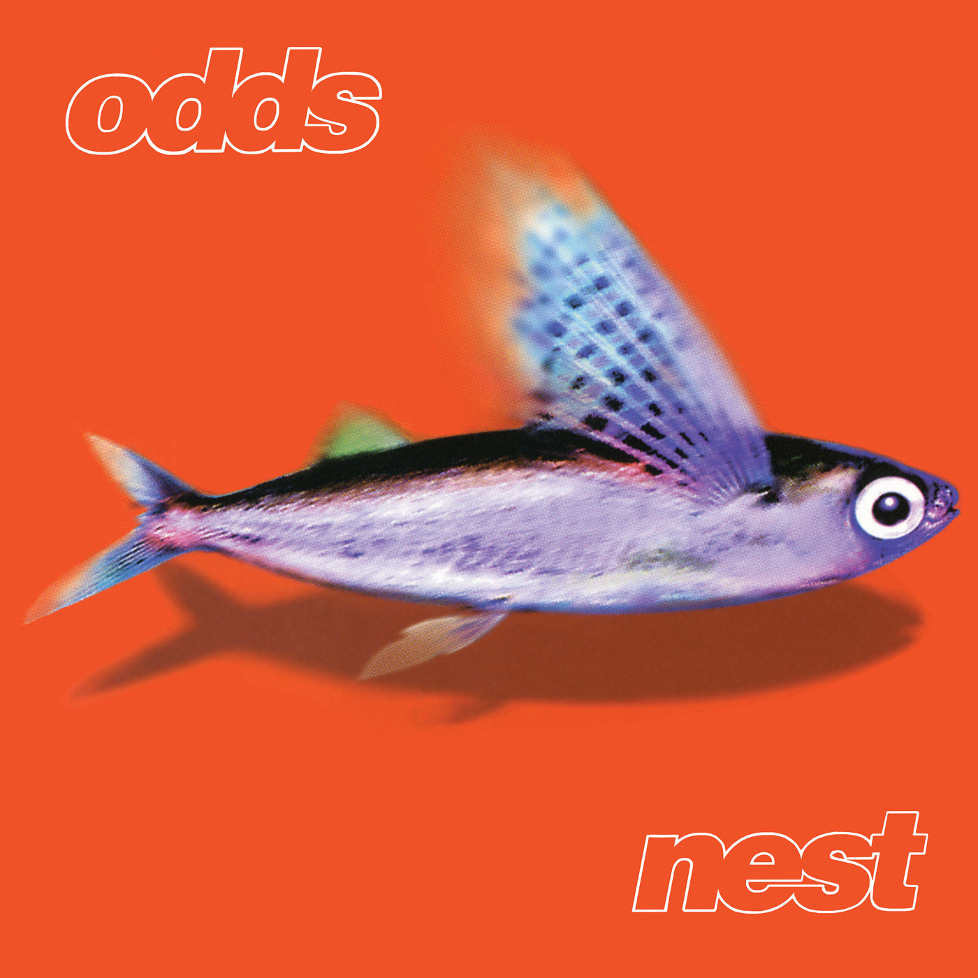 Nest