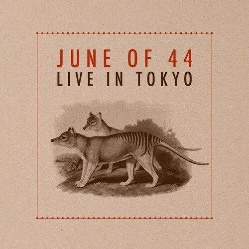 LIVE IN TOKYO