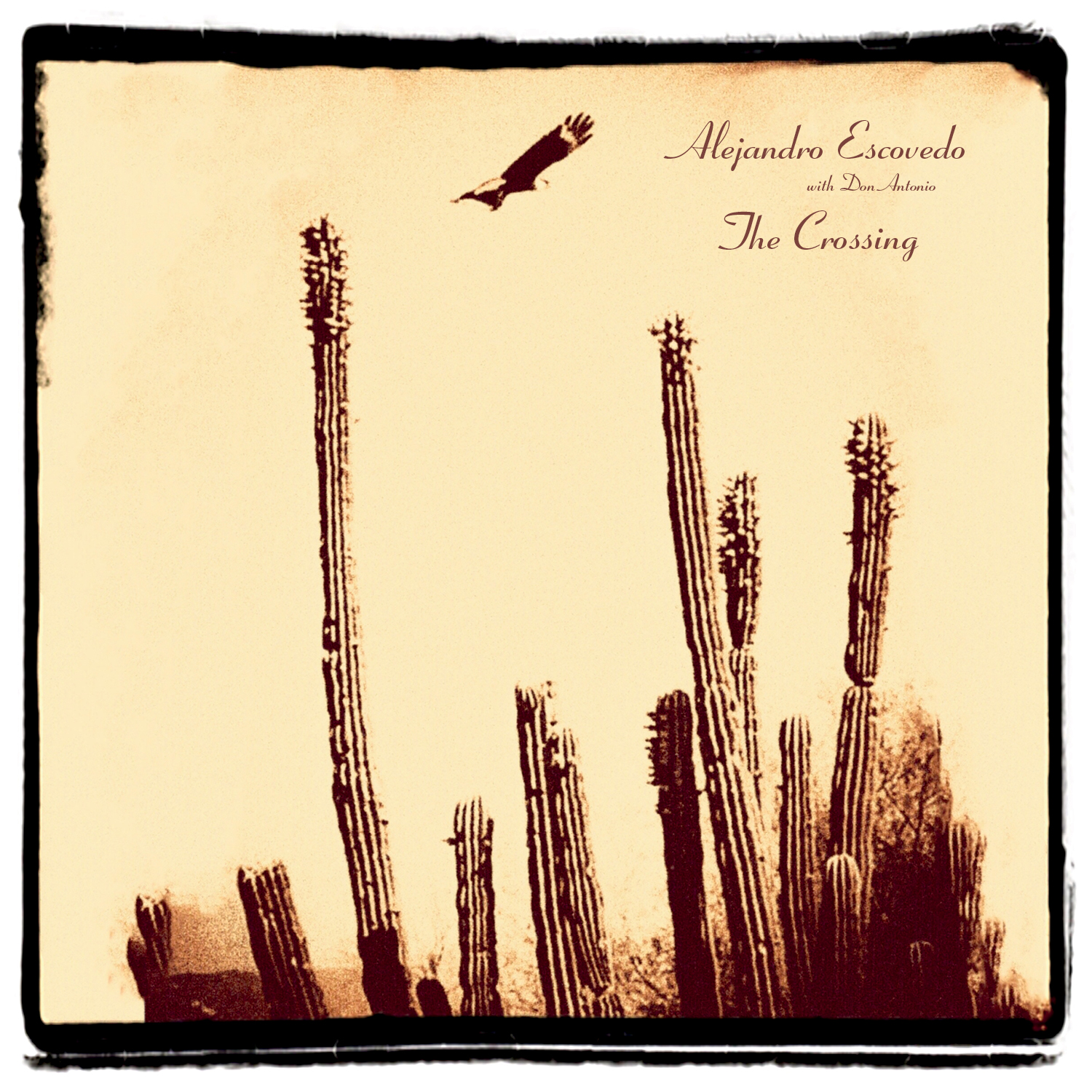 CROSSING -DOWNLOAD-