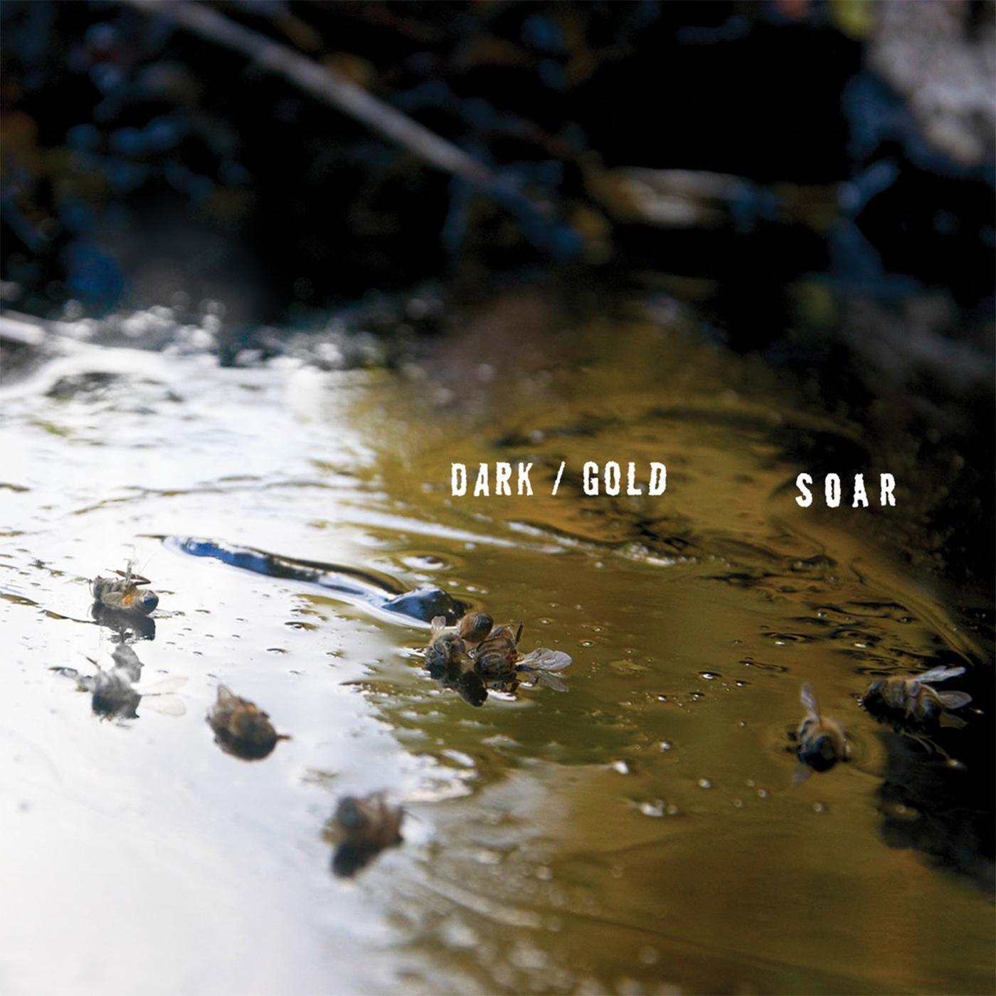 DARK / GOLD -DOWNLOAD-