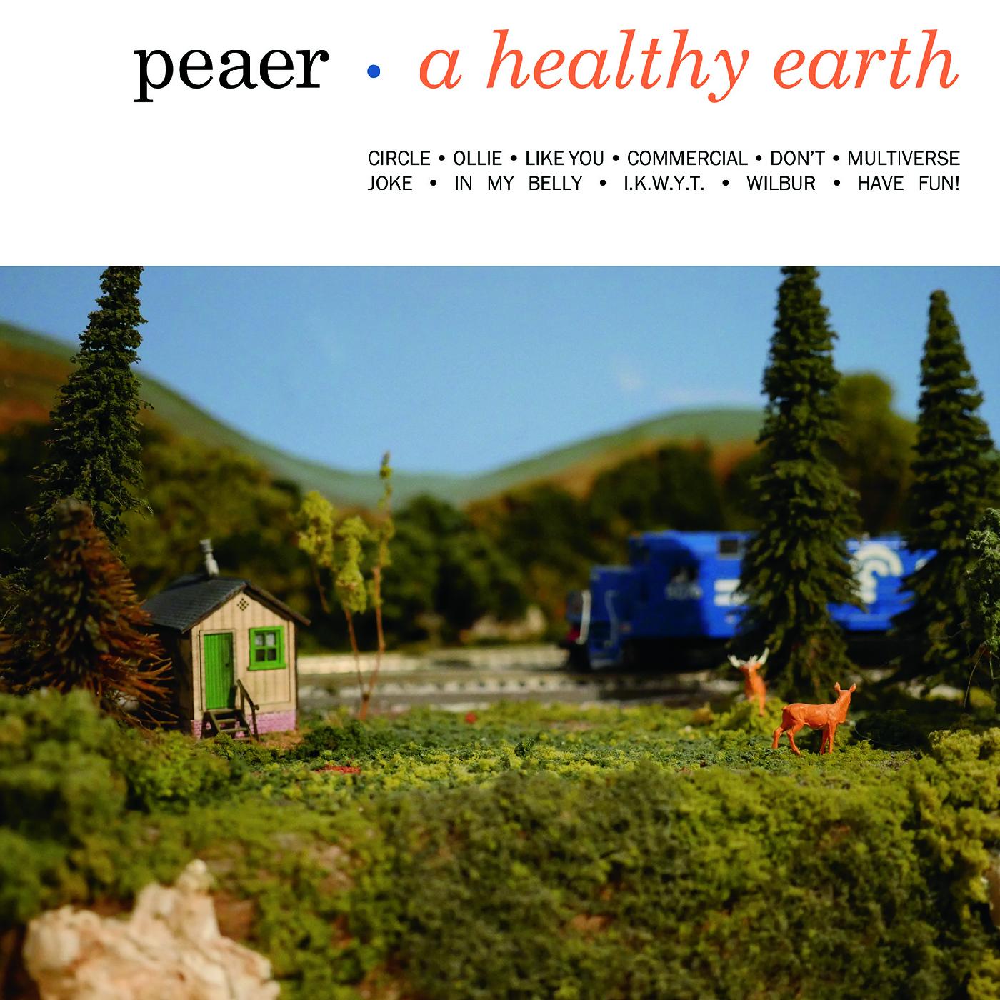 HEALTHY EARTH/VINYLE COULEUR