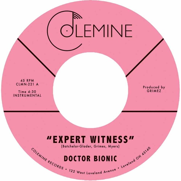 Expert Witness + Mistake - Vinyle