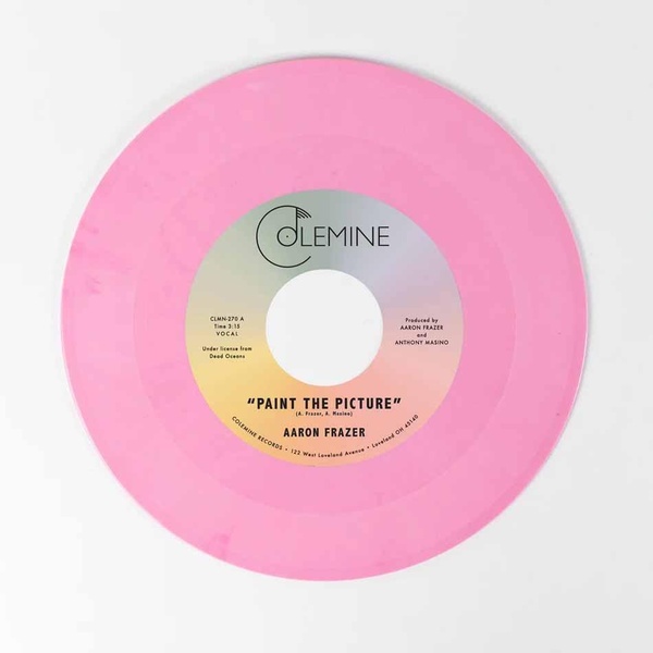 Paint The Picture + Back Into The World - Vinyle