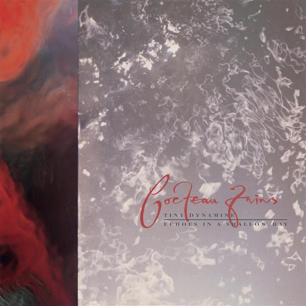 TINY DYNAMINE / ECHOES IN A SHALLOW BAY
