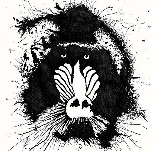 s/t