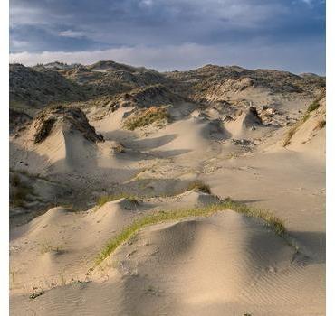 Dune Worship