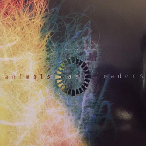Animals as Leaders