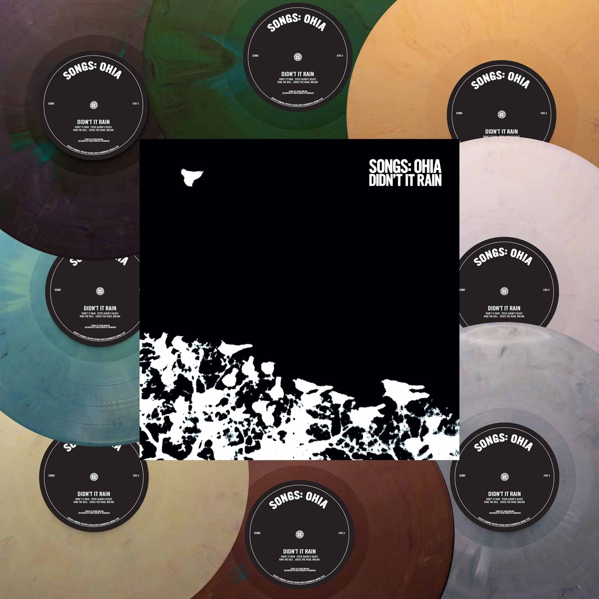 Didn’t It Rain (Revinyl Edition) - Vinyle Couleur Aleatoire