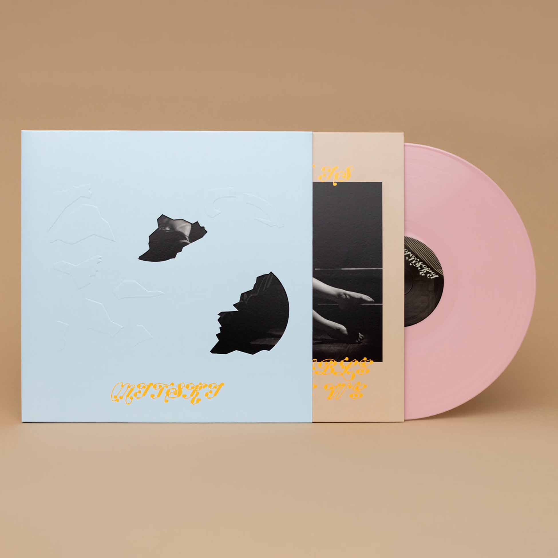 The Land Is Inhospitable And So Are We - Vinyle Rose
