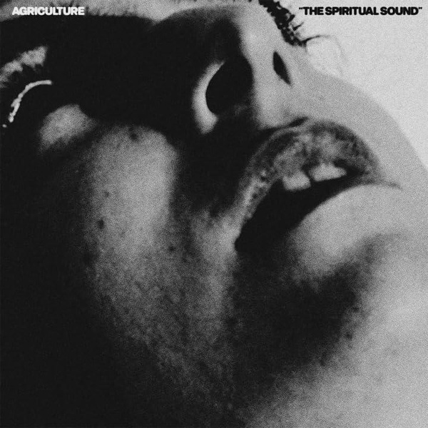 The Spiritual Sound/Color Vinyl