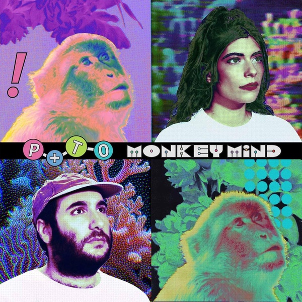 Monkey Mind - Vinyle Vert