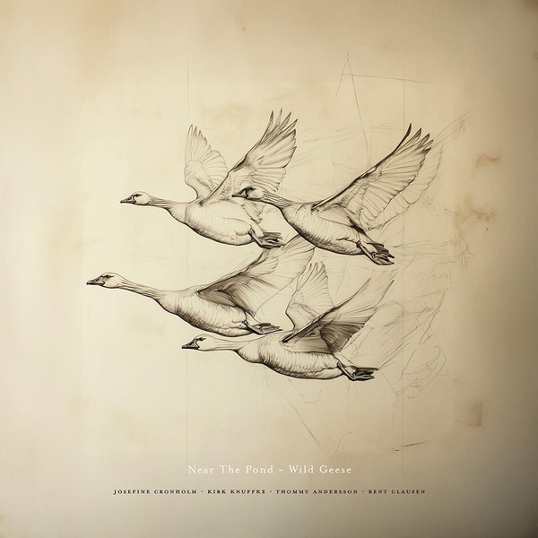 Wild Geese (Vinyle LP) / Near the Pond