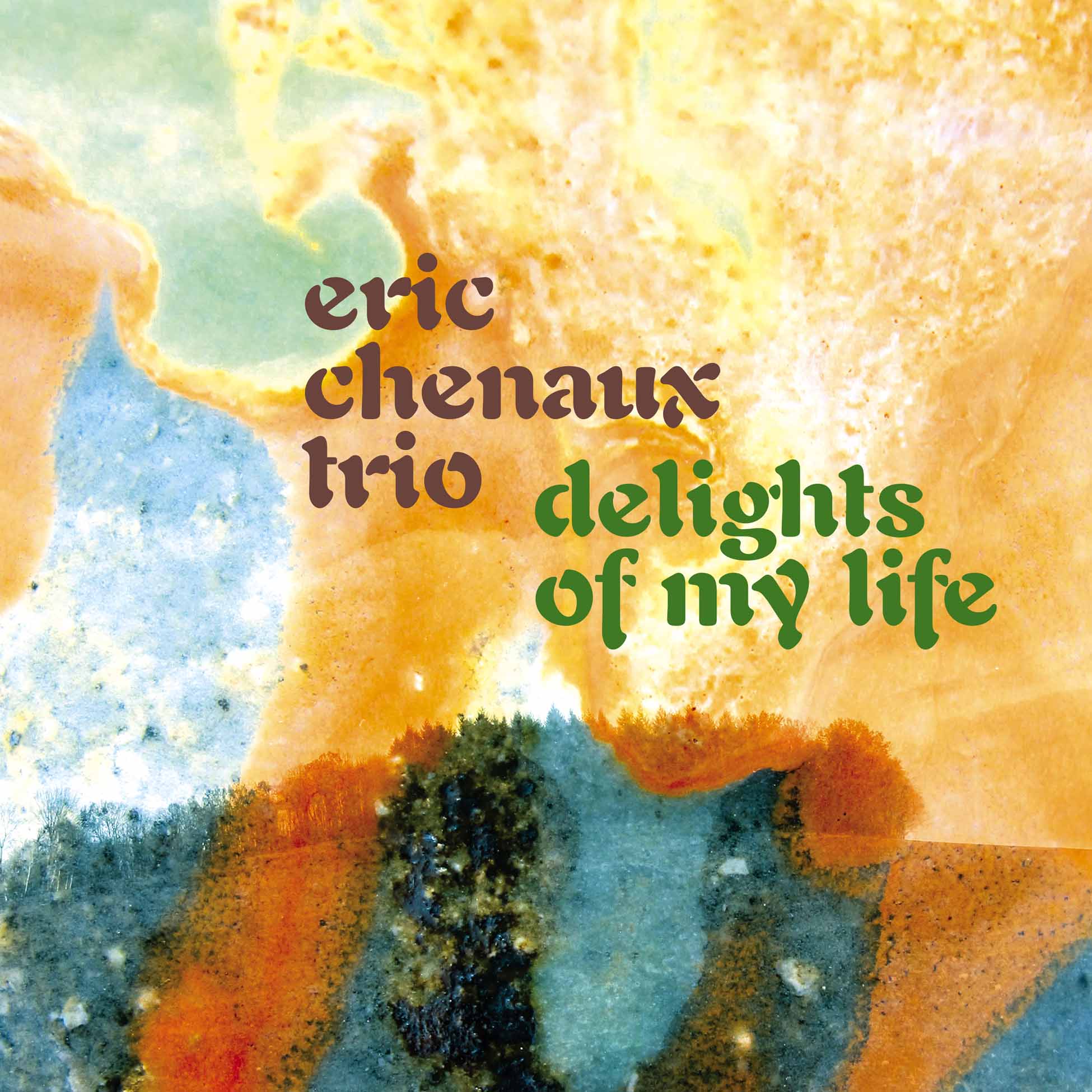Delights Of My Life - Vinyle 180Gr