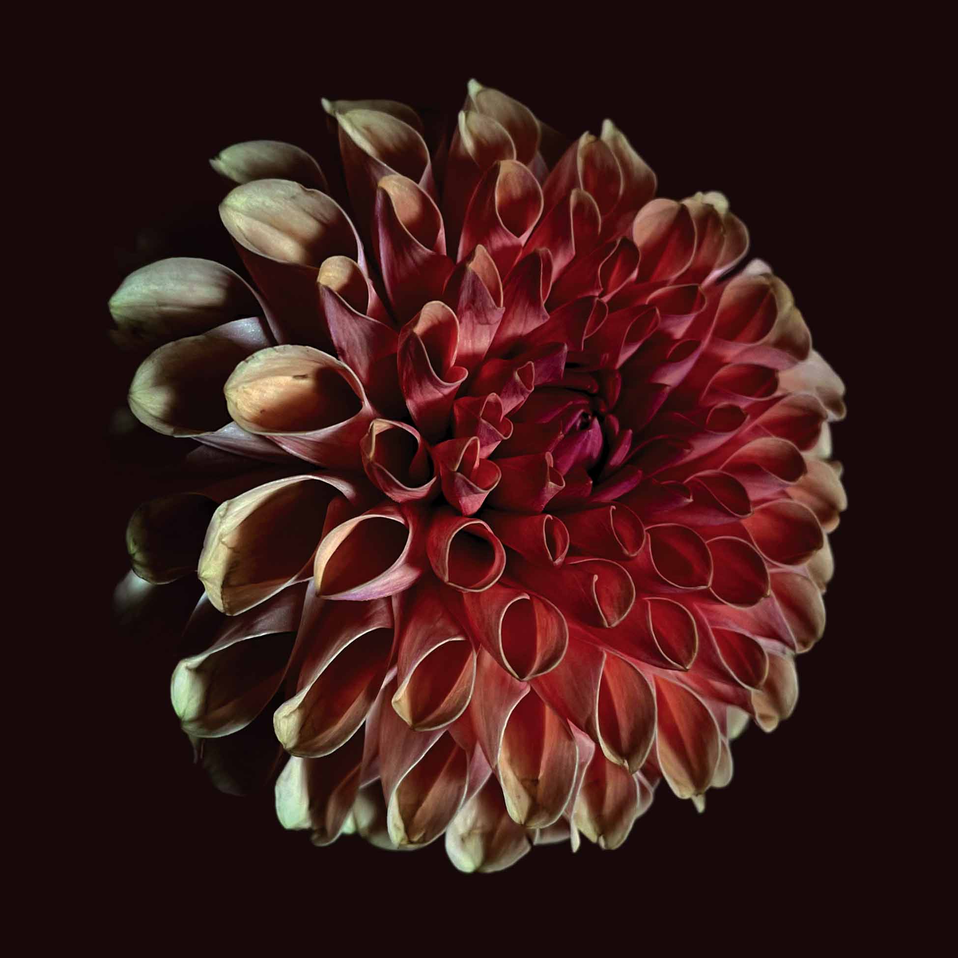 Unfolding - Vinyle 180Gr