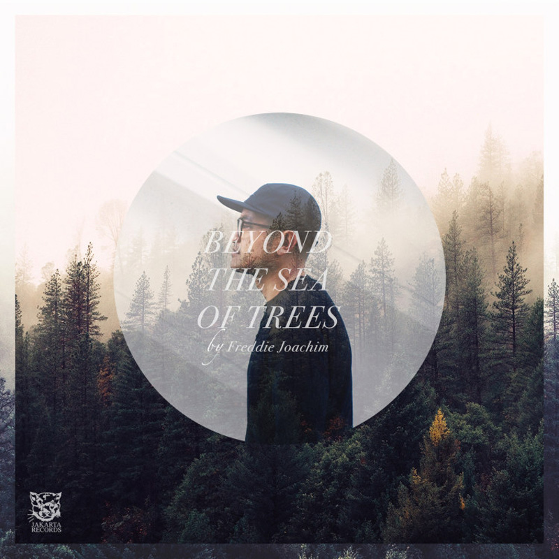 Beyond The Sea Of Trees